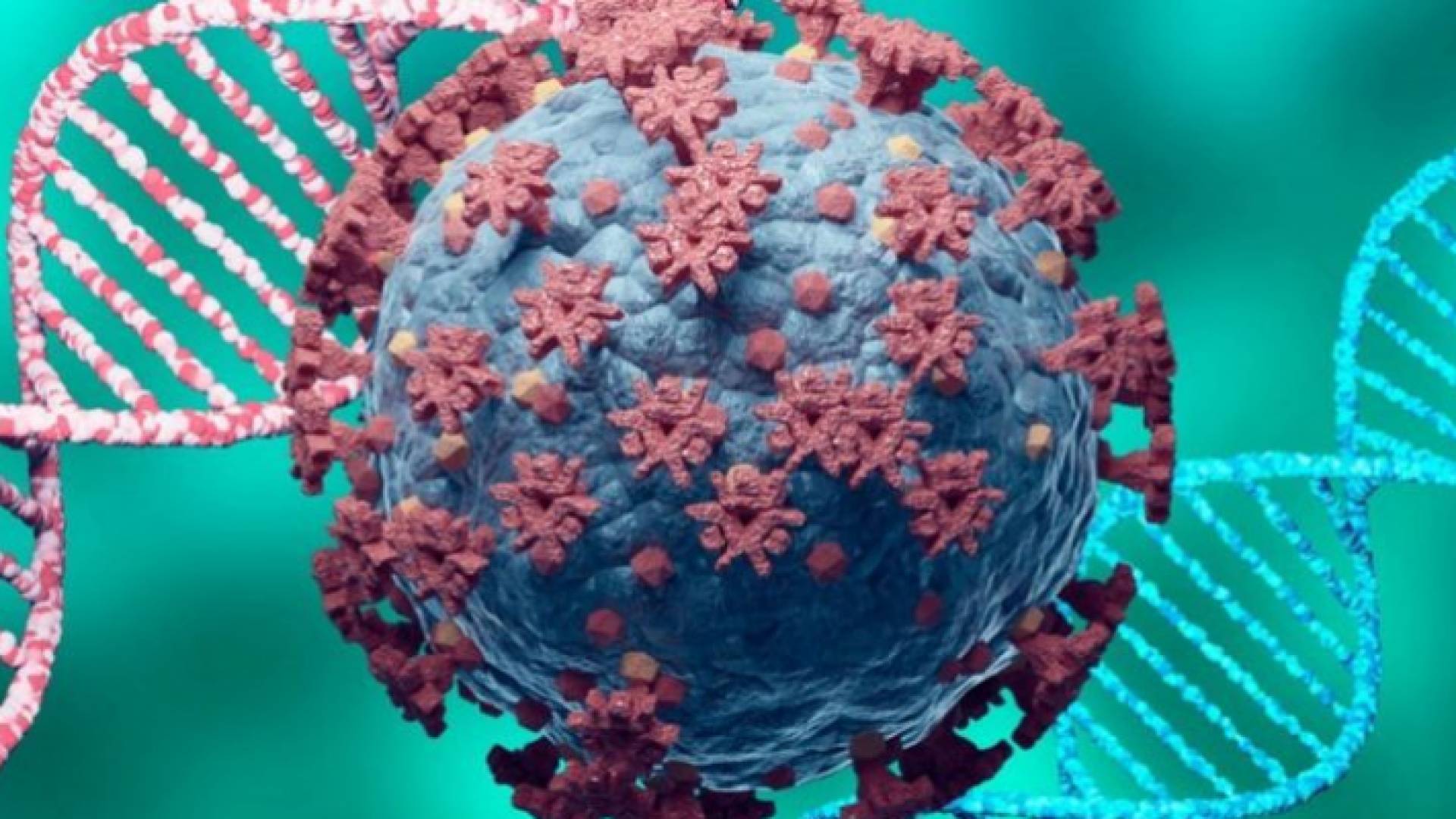 المتحورة الجديدة اوميكرون - ارشيفية