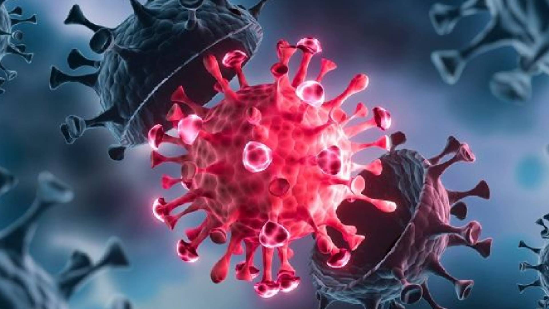 فيروس كورونا - تعبيرية