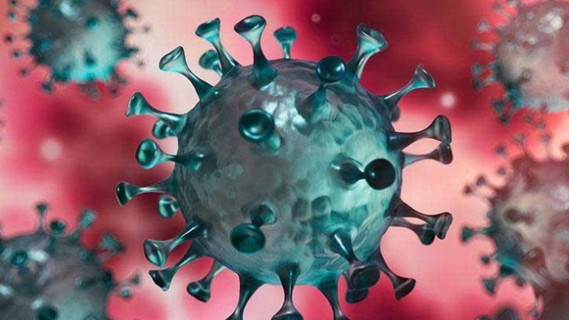 فيروس كورونا - تعبيرية