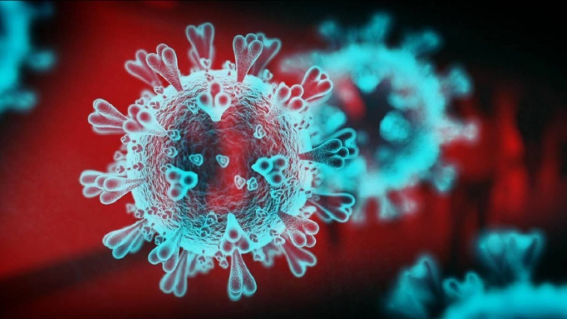 فيروس كورونا - تعبيرية