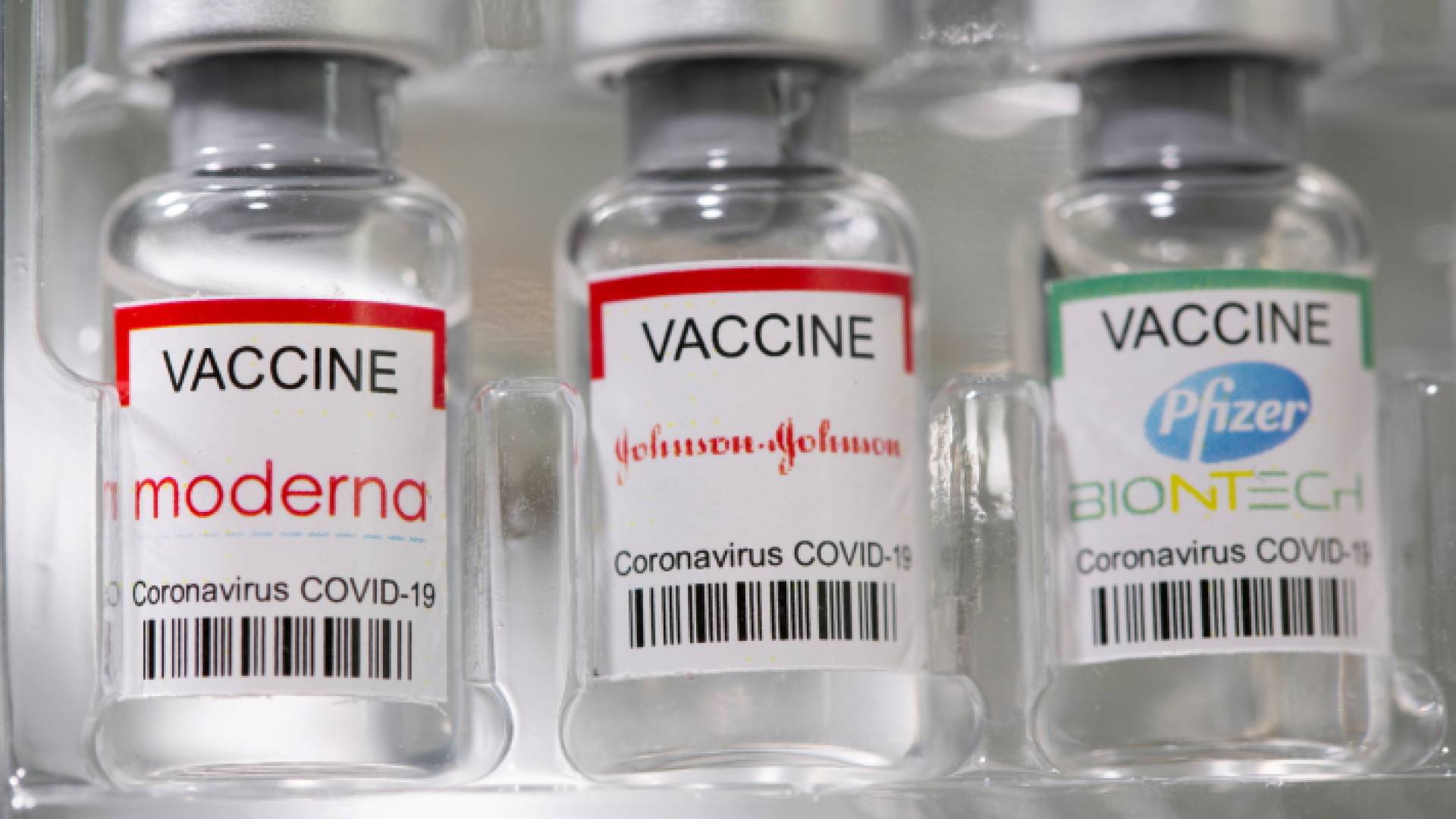 لقاحات كورونا - ارشيفية