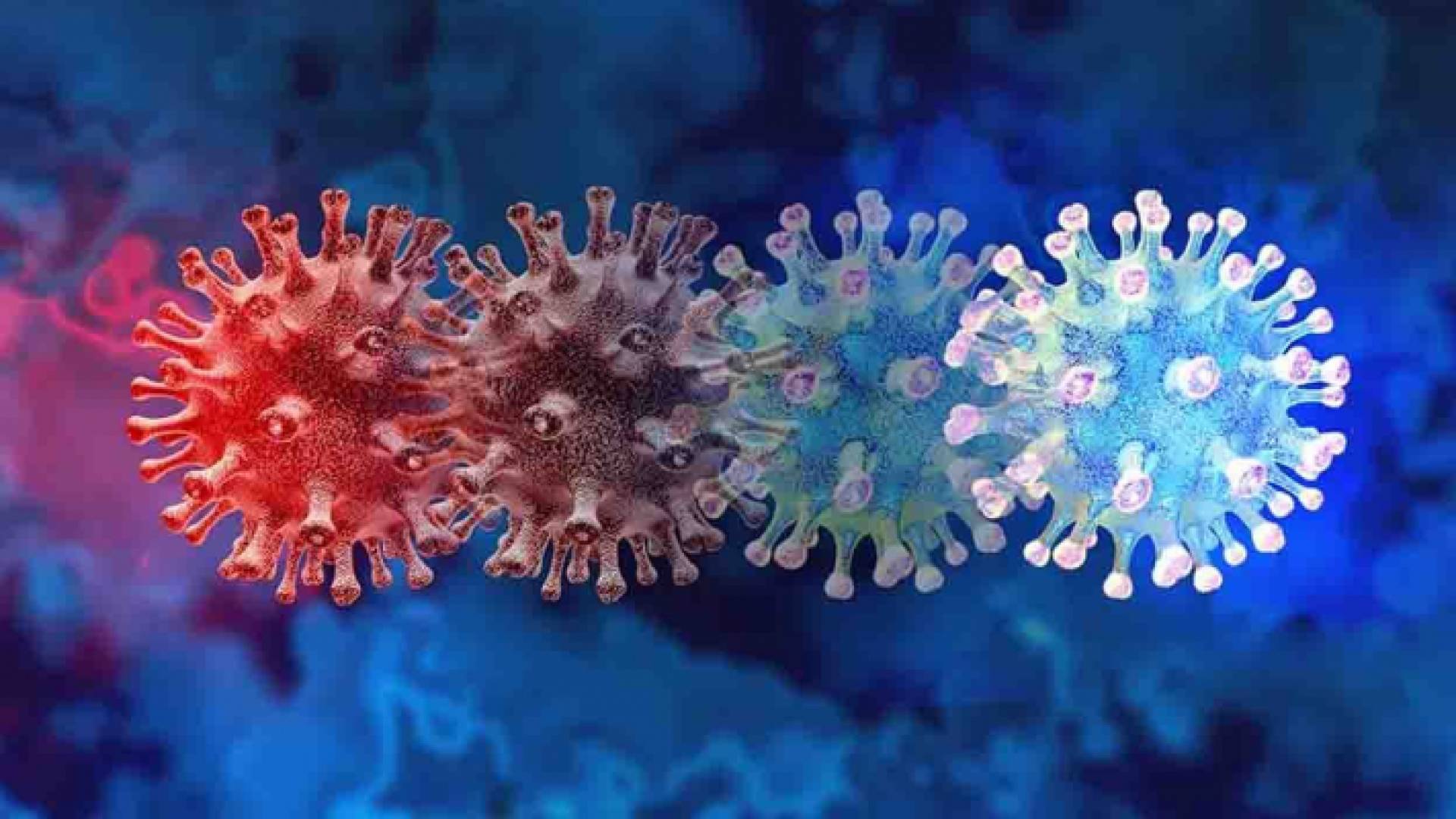 كورونا - تعبيرية