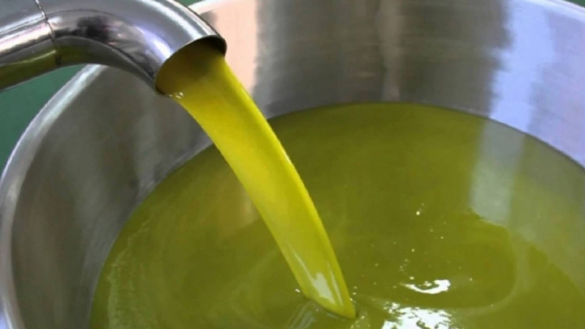 زيت الزيتون - ارشيفية