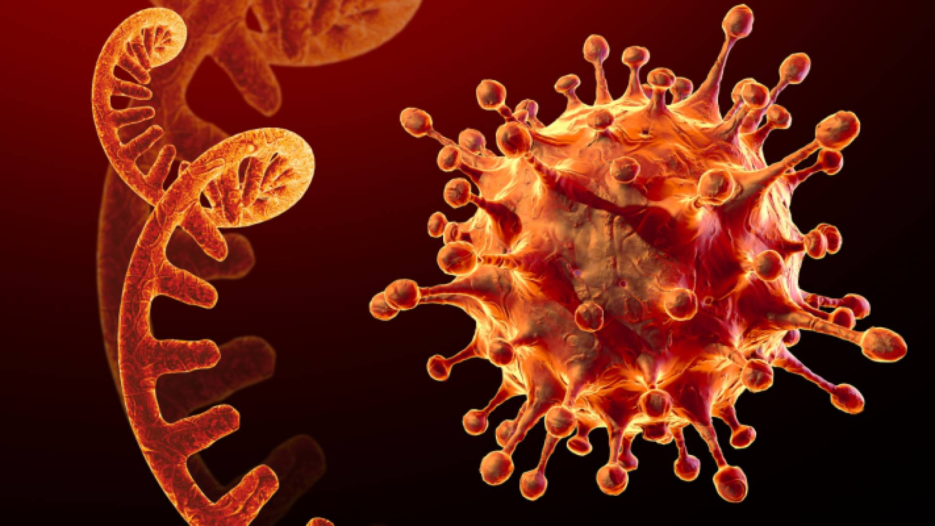 فيروس كورونا - تعبيرية