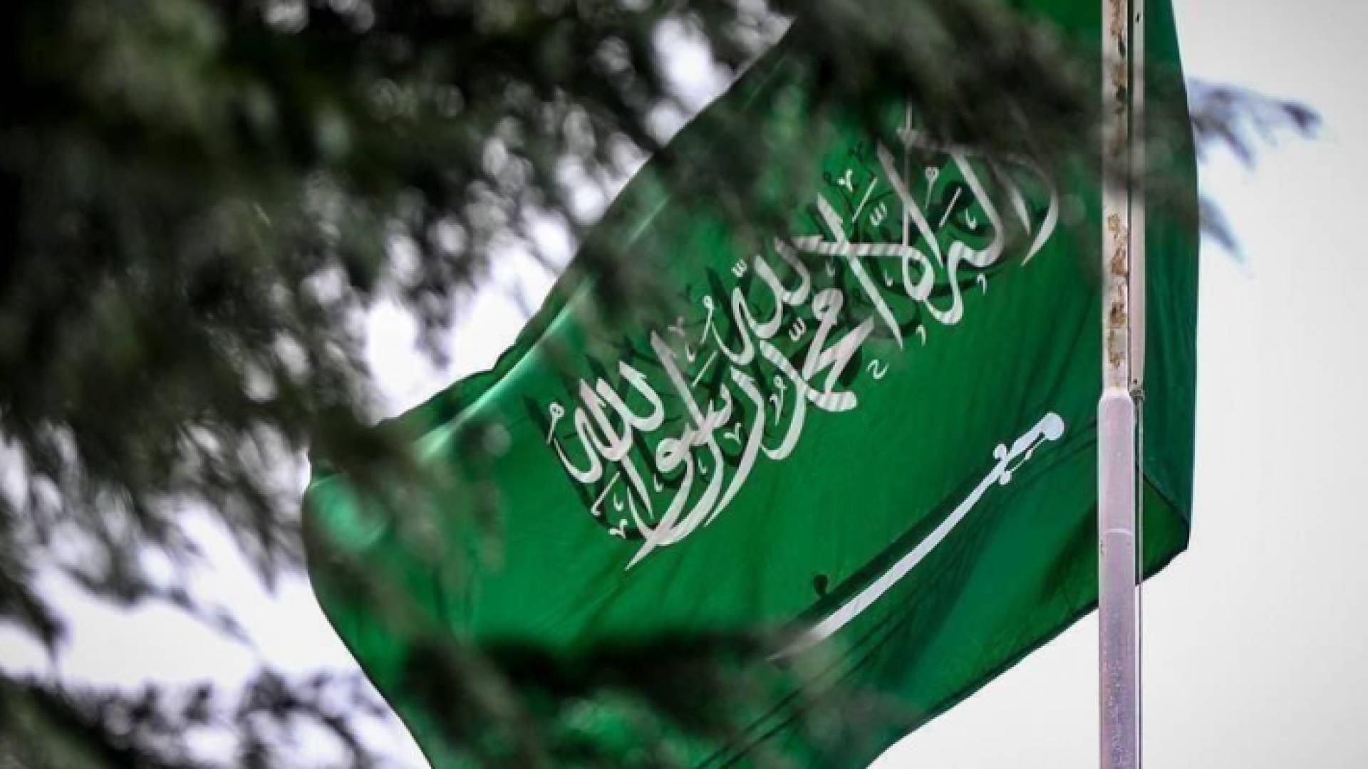 علم المملكة العربية السعودية