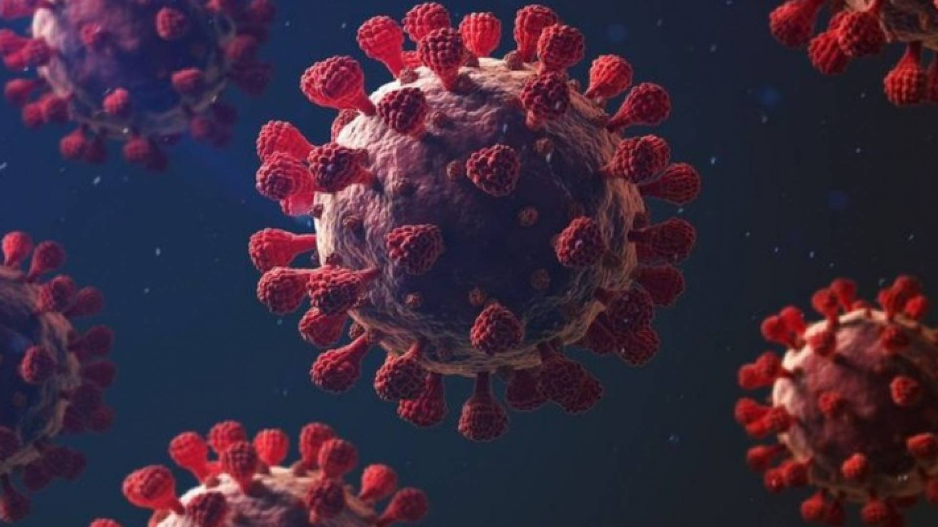 فيروس كورونا - تعبيرية