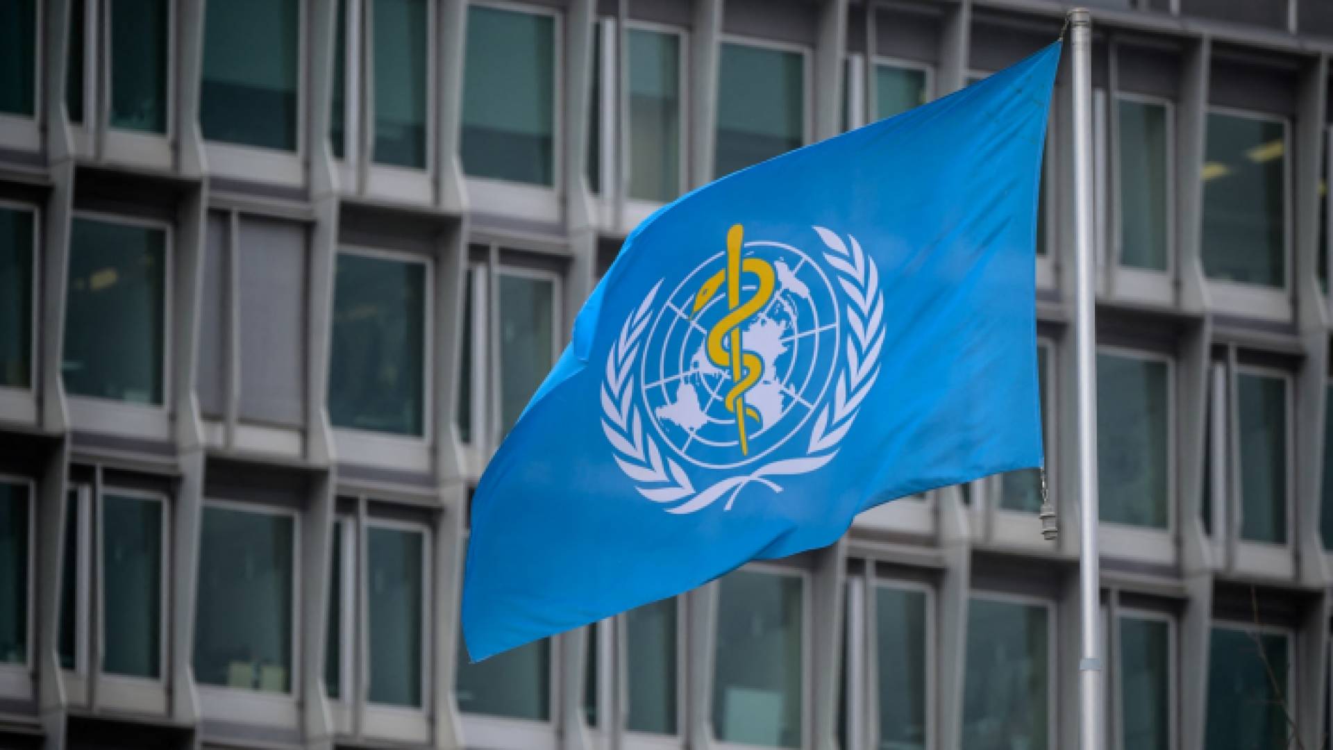 منظمة الصحة العالمية