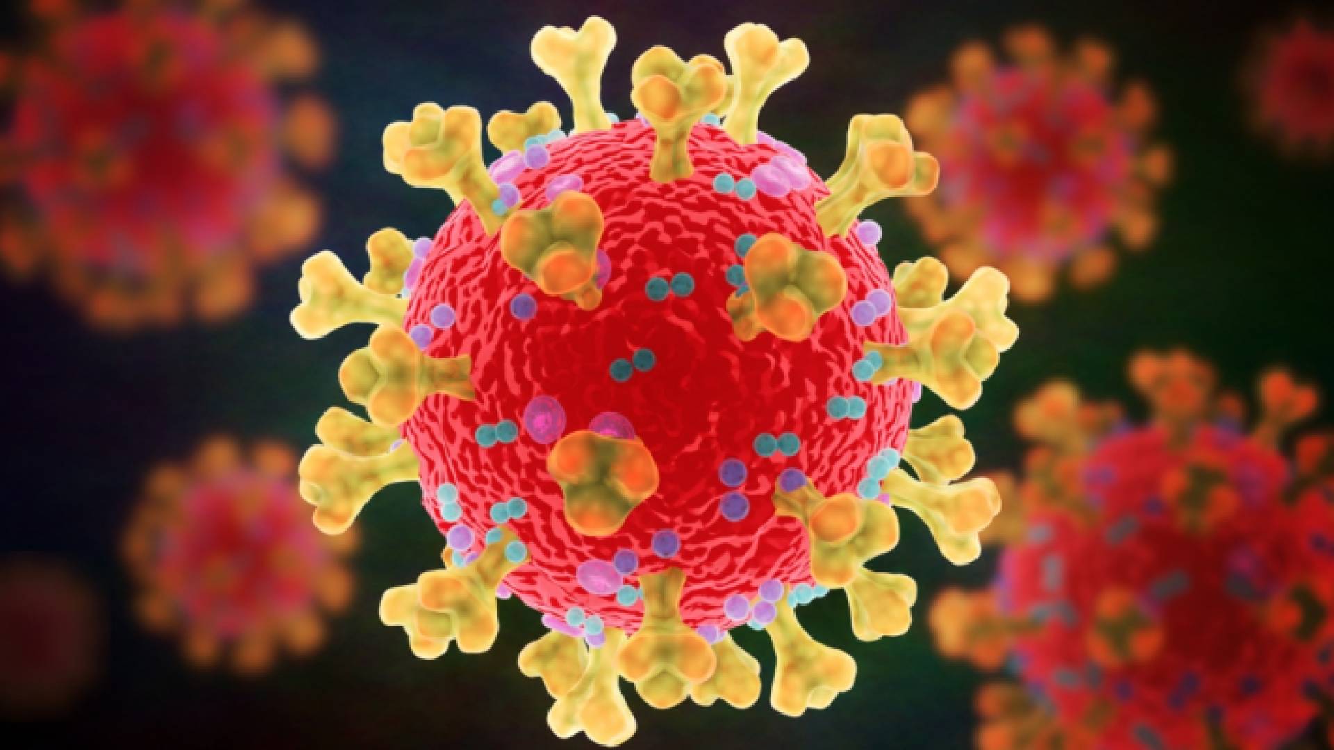 فيروس كورونا - تعبيرية