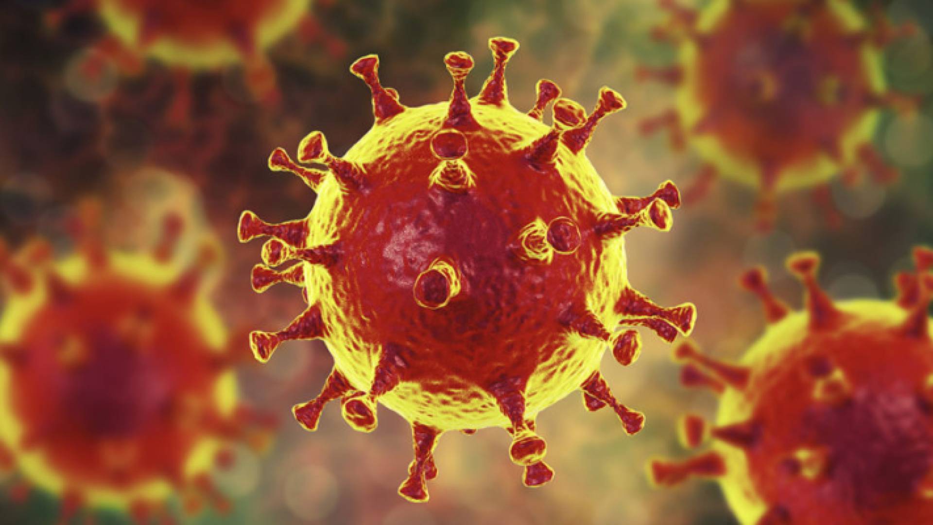 فيروس كورونا - تعبيرية