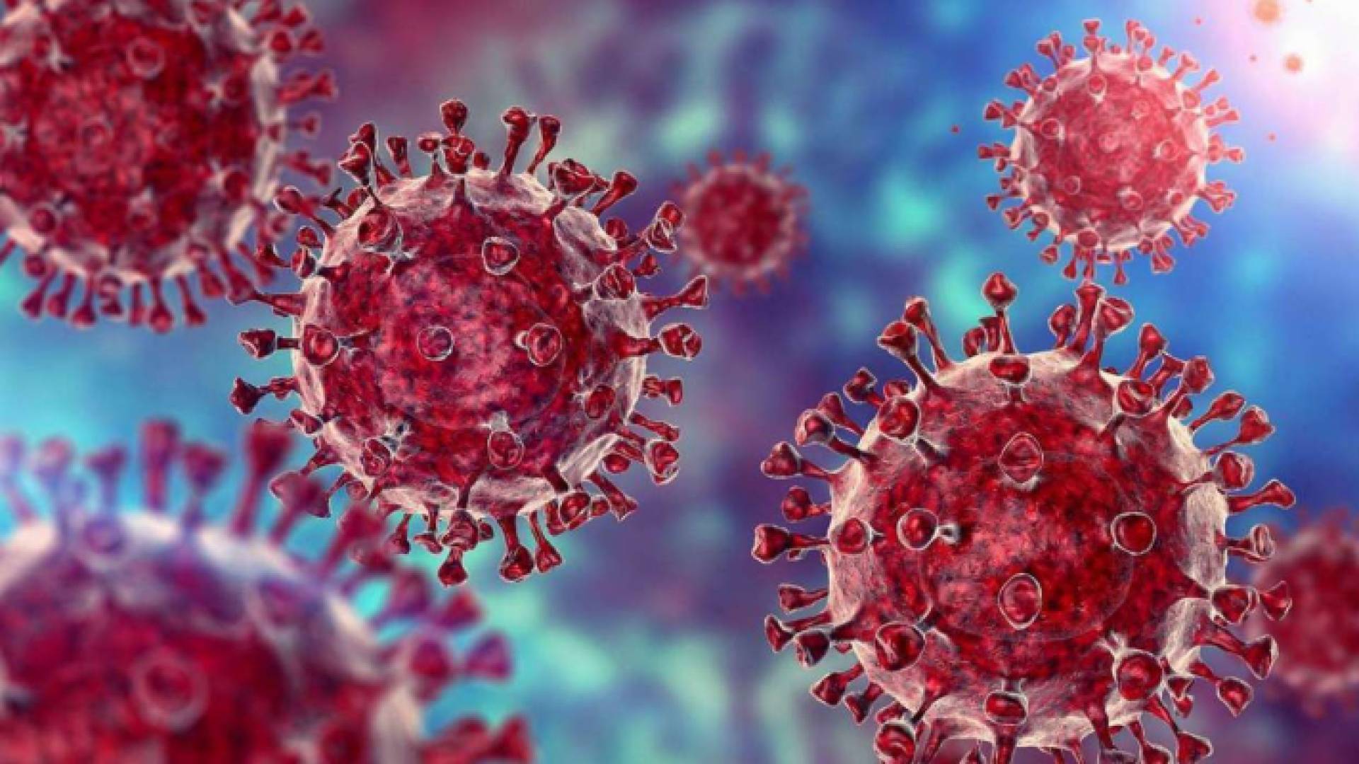 فيروس كورونا- تعبيرية