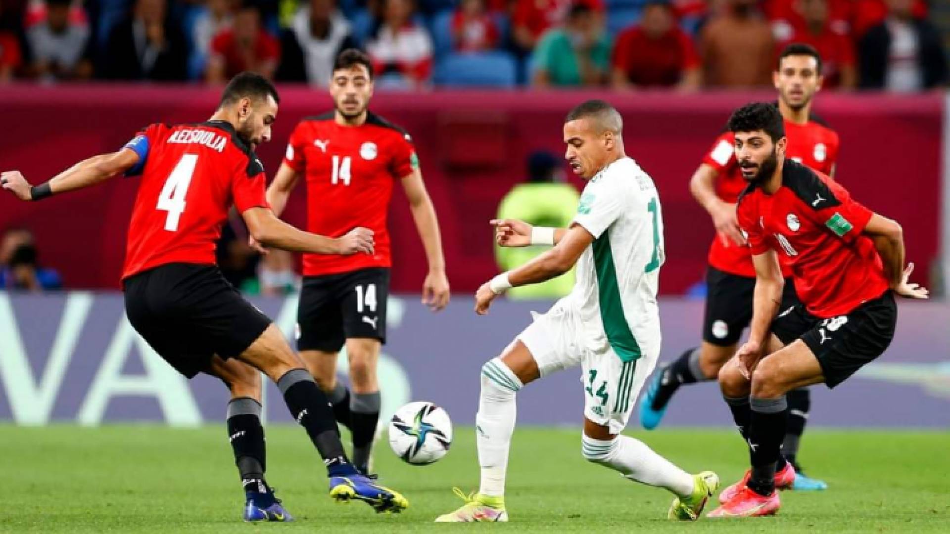 الصورة من مباراة الجزائر ومصر