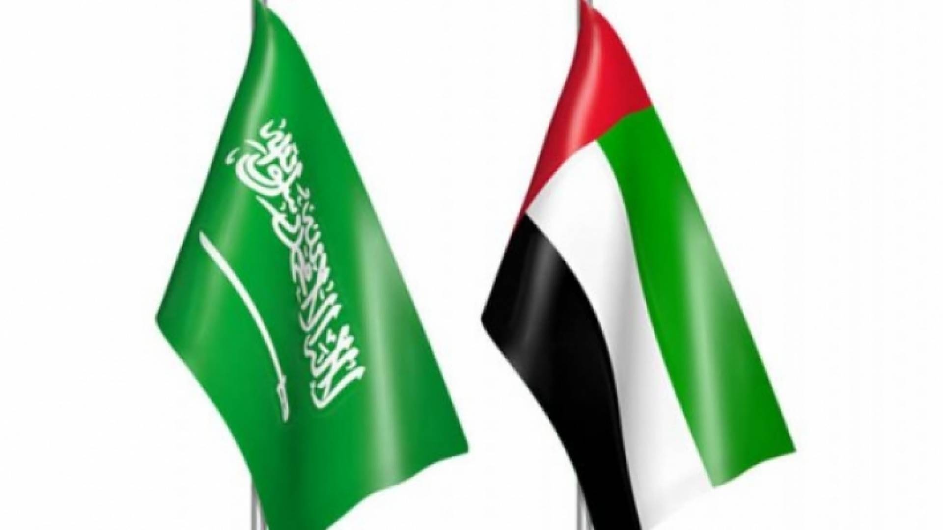 علما المملكة العربية السعودية والإمارات العربية المتحدة