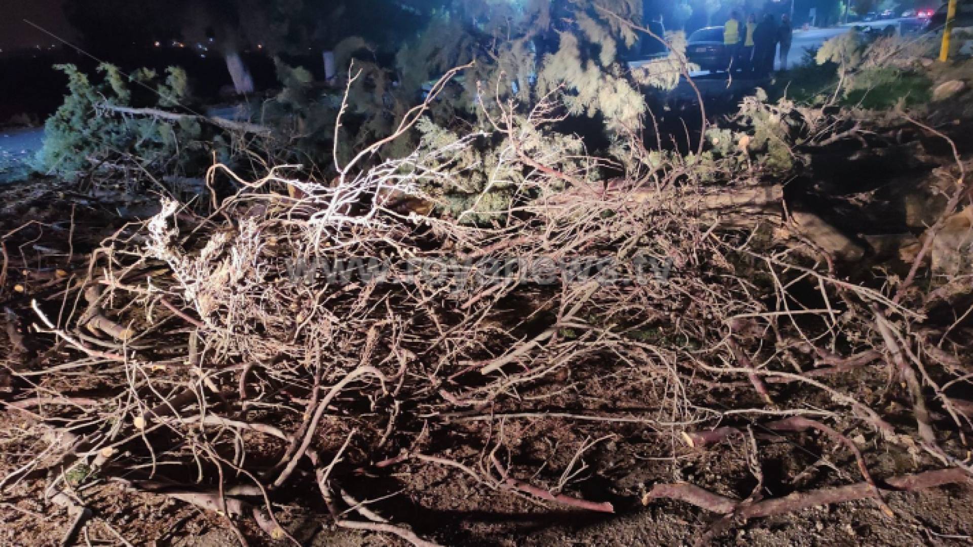 اغلاق مؤقت لطريق مادبا نيبو بسبب تساقط الأشجار