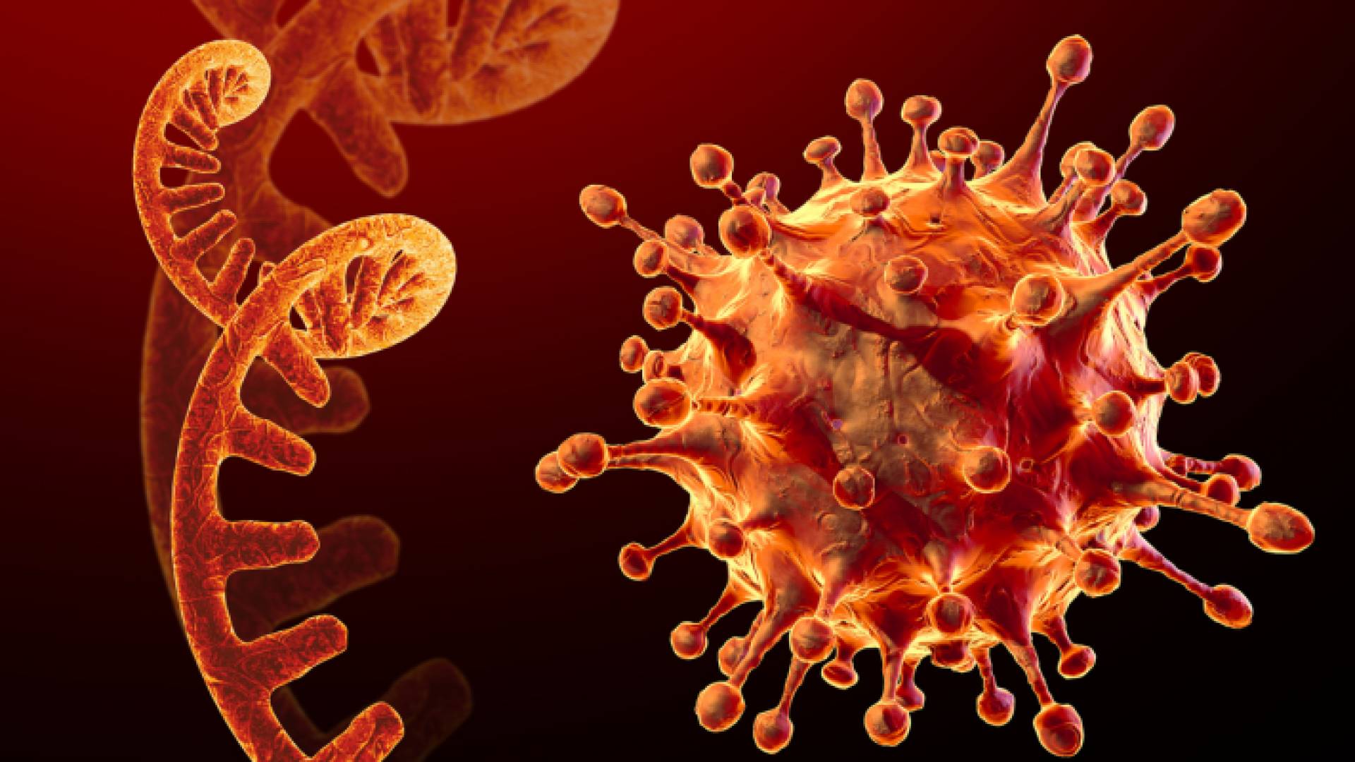 فيروس كورونا - تعبيرية