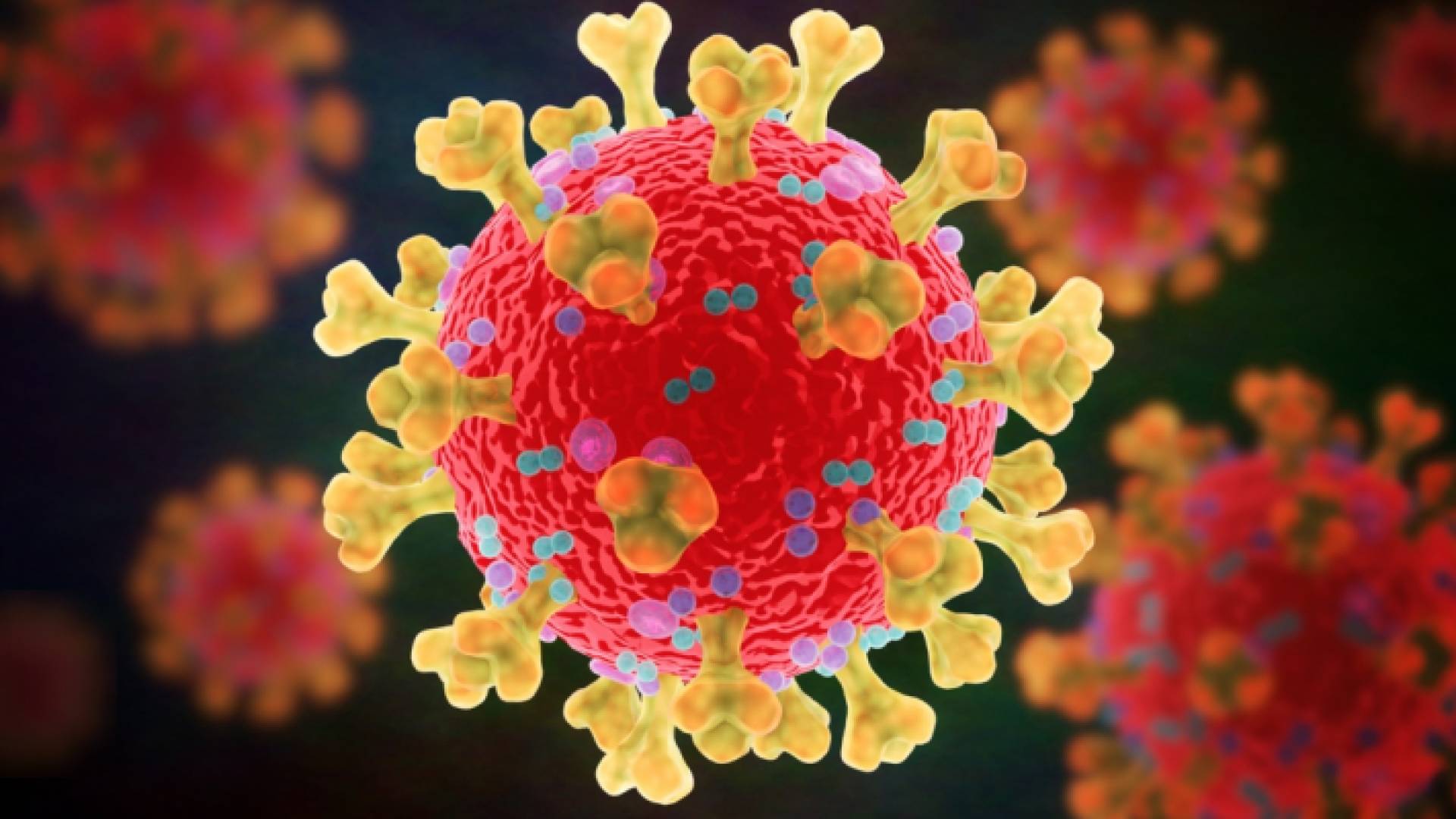 فيروس كورونا - تعبيرية