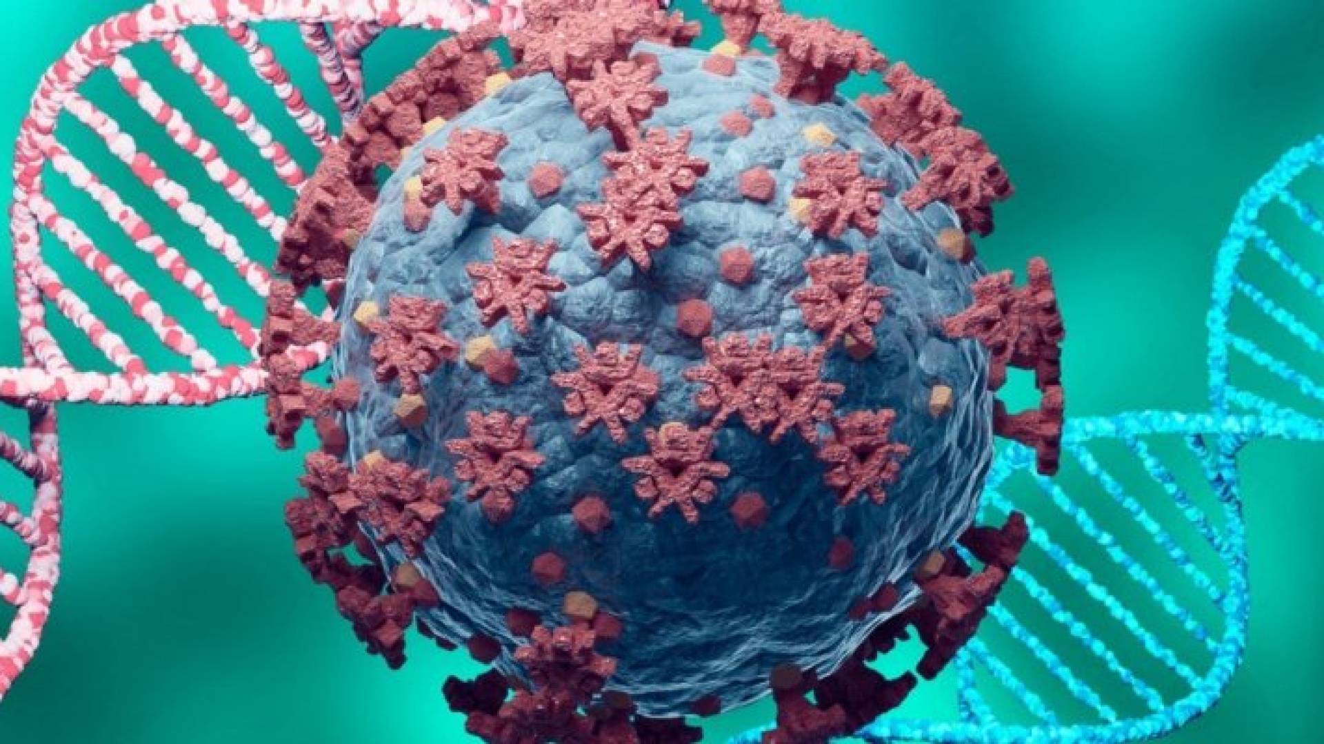 متحور كورونا - تعبيرية