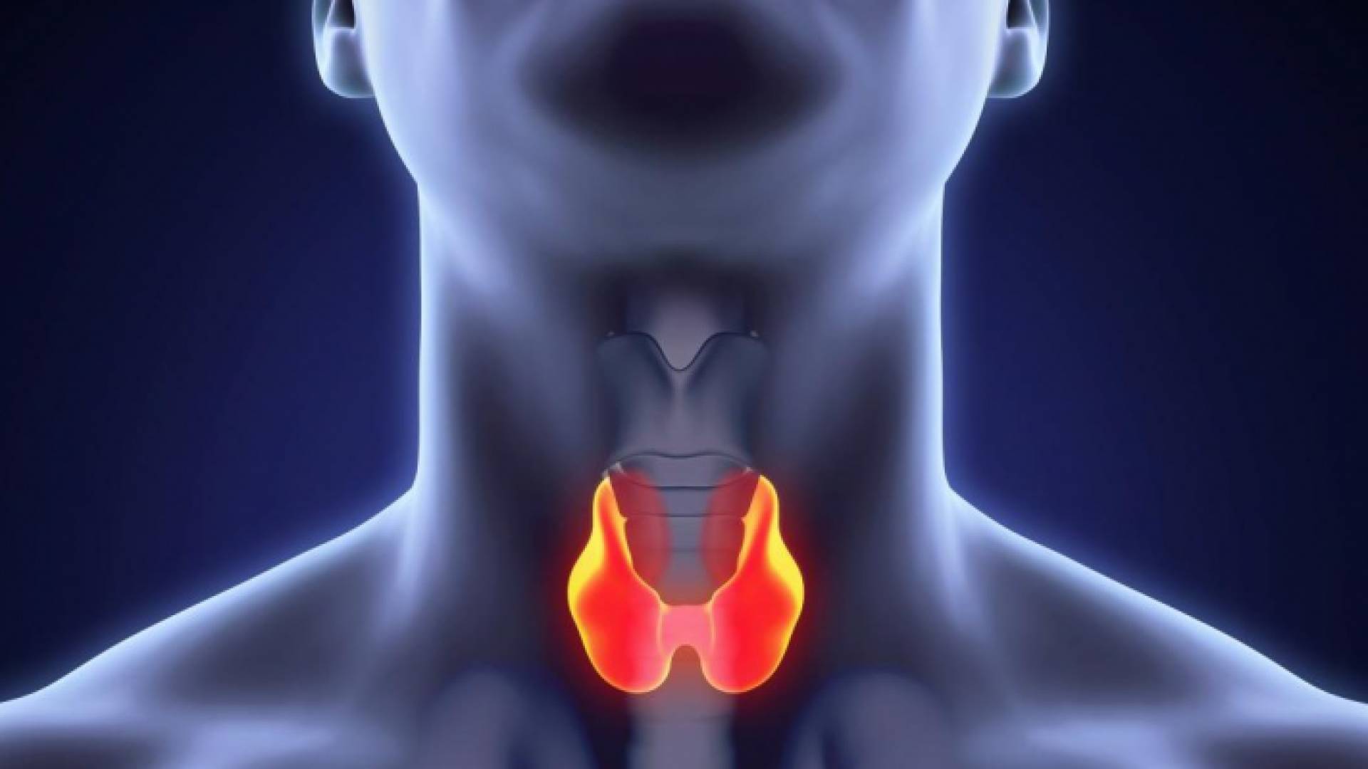 دراسات نوعية أردنية للكشف المبكر وعلاج مرض نقص هرمون الغدة الدرقية