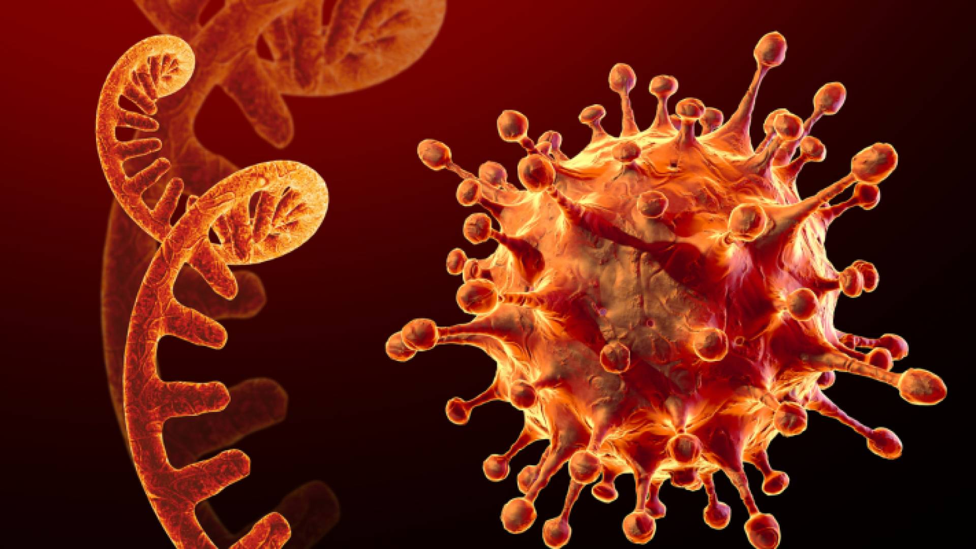 فيروس كورونا - تعبيرية