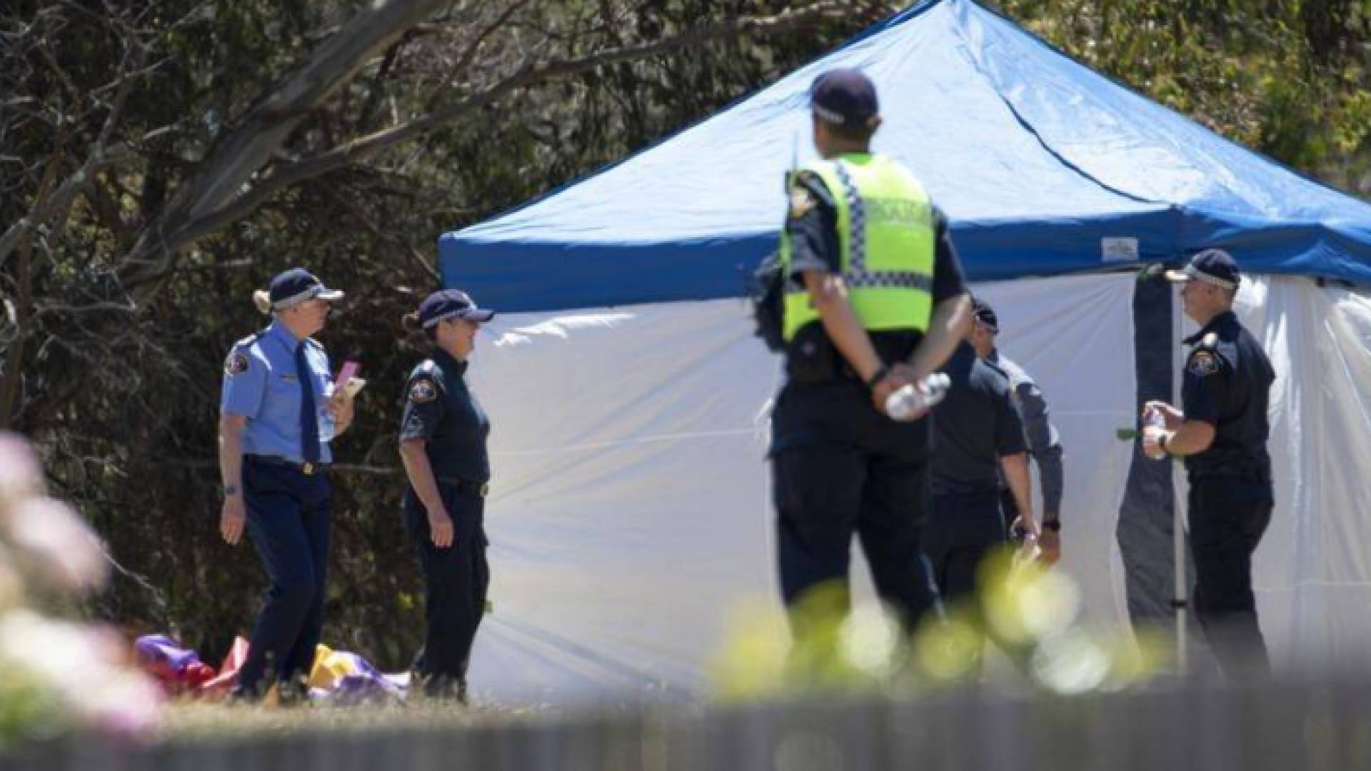 من موقع وقوع الحادث