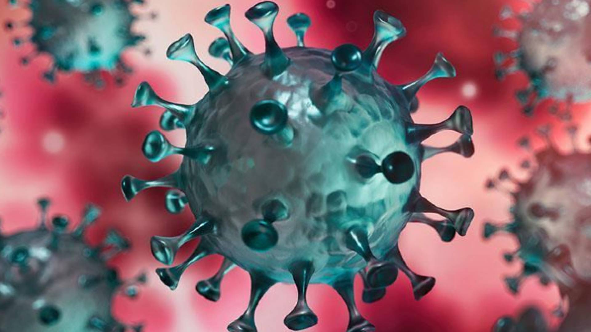 مجموعة السبع: مواجهة أوميكرون تتطلب "تعاونا وثيقا (ا ف ب)