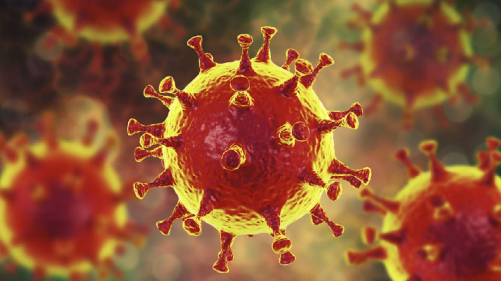 فيروس كورونا - تعبيرية