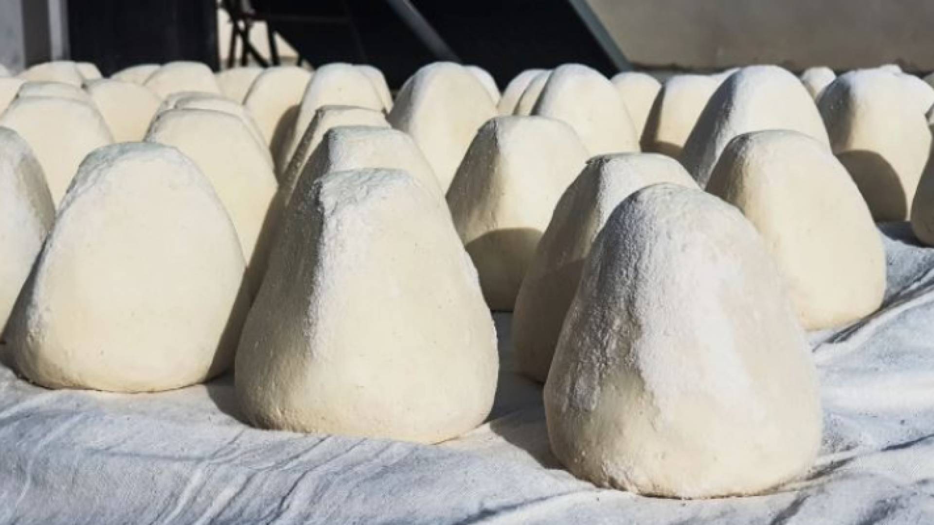 ألبان وأجبان