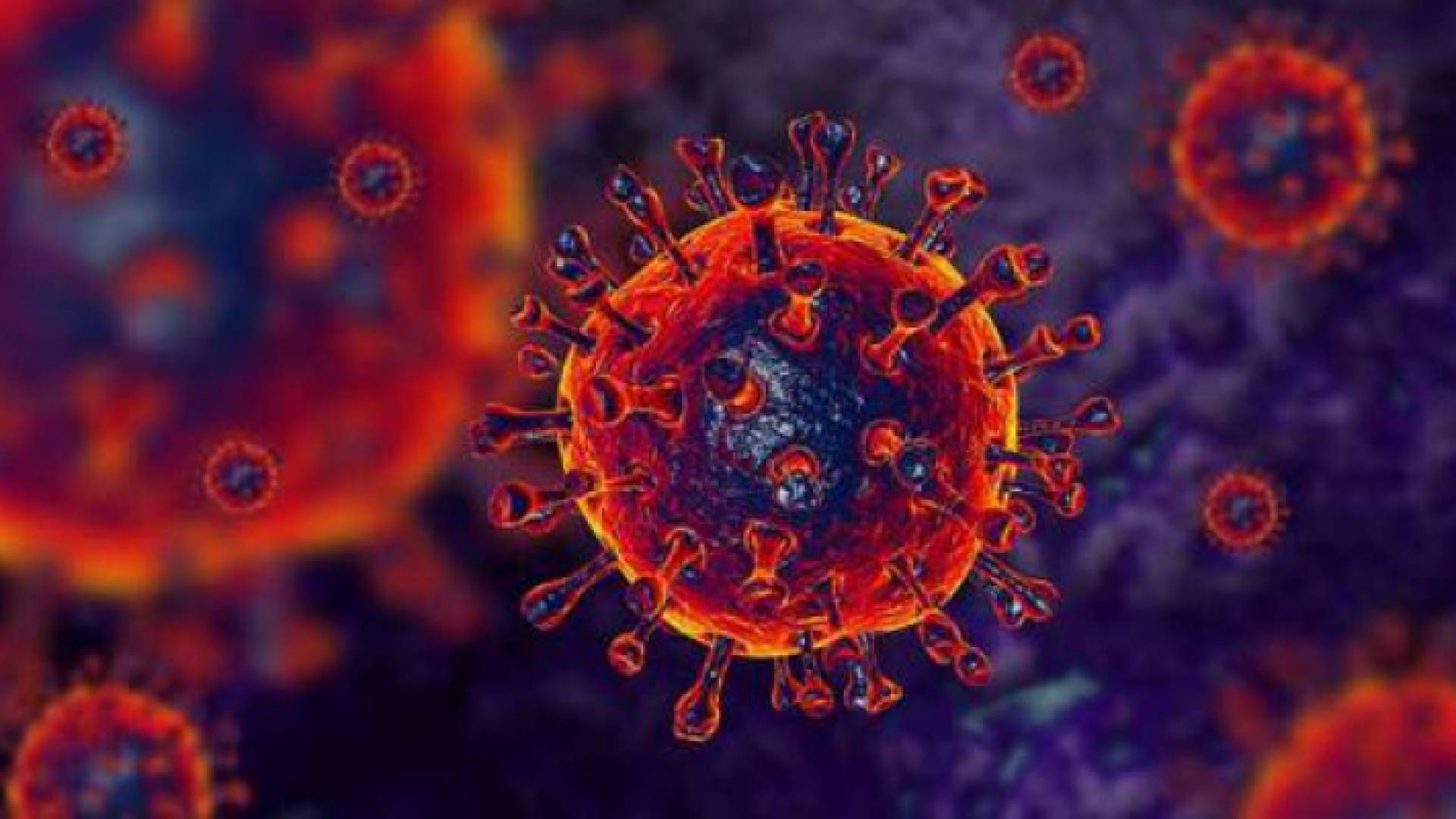 فيروس كورونا - تعبيرية