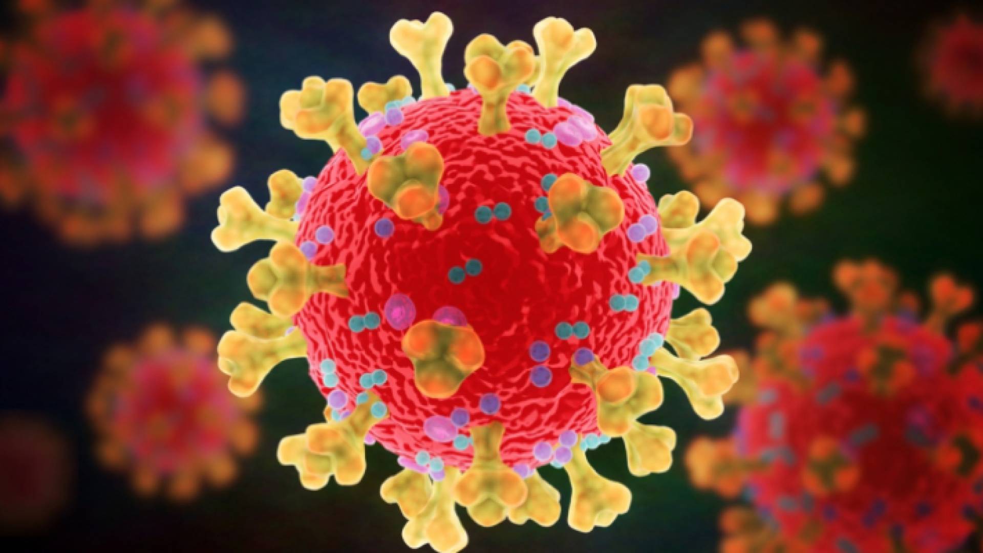 فيروس كورونا - تعبيرية