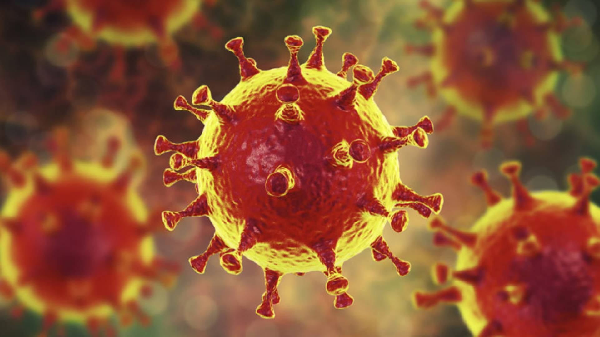 فيروس كورونا - تعبيرية