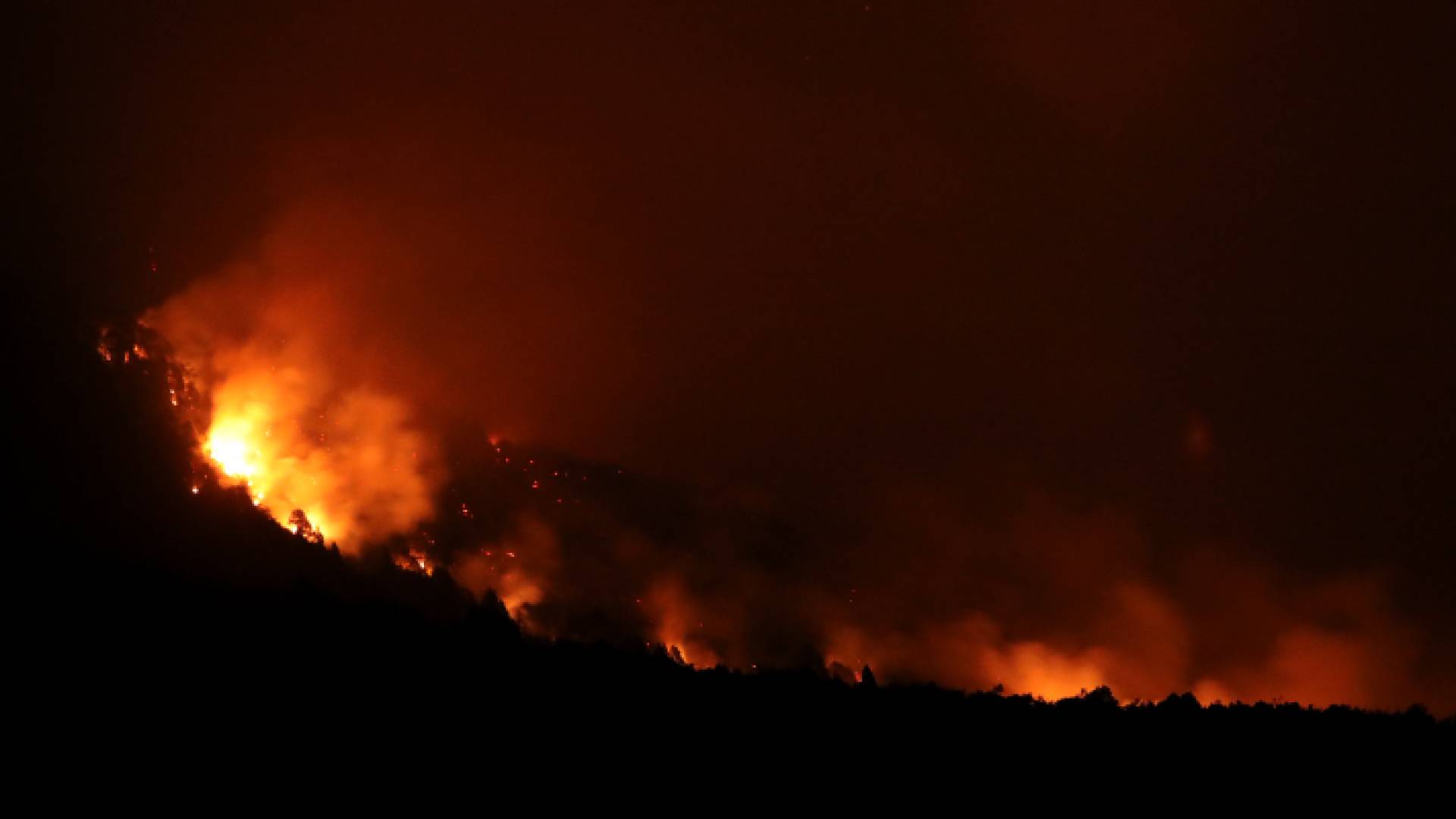 حرائق تلتهم آلاف هكتارات الغابات في الأرجنتين