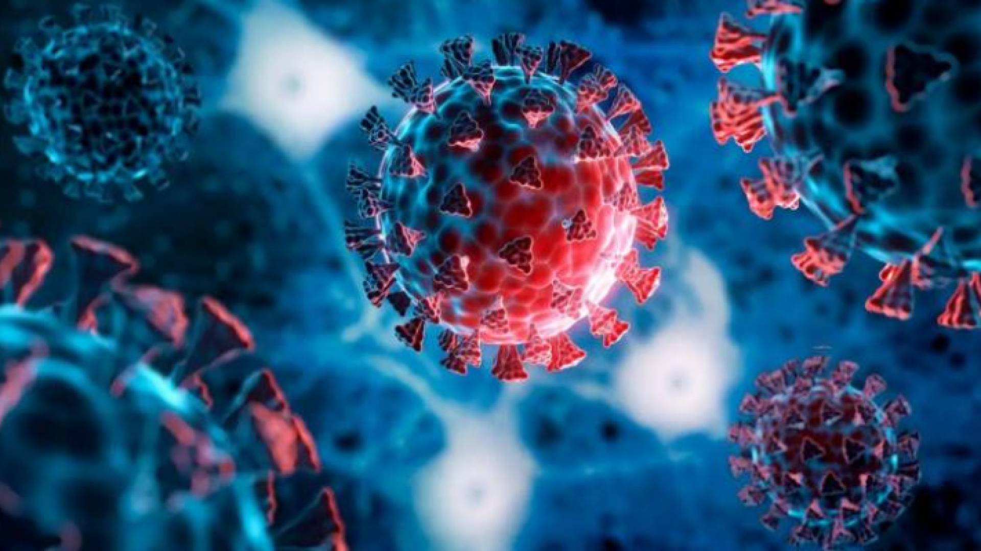 متحور كورونا - تعبيرية