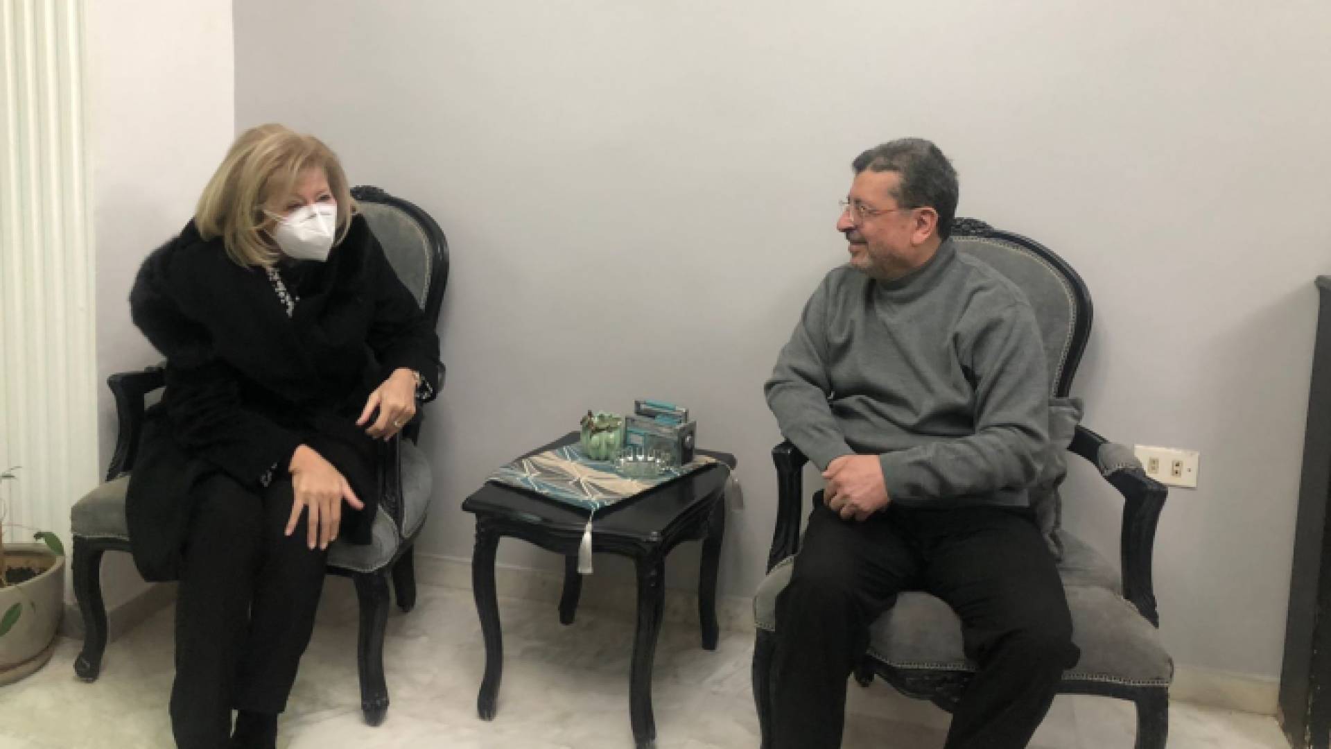 وزيرة الثقافة هيفاء النجار تزور الفنان ربيع شهاب
