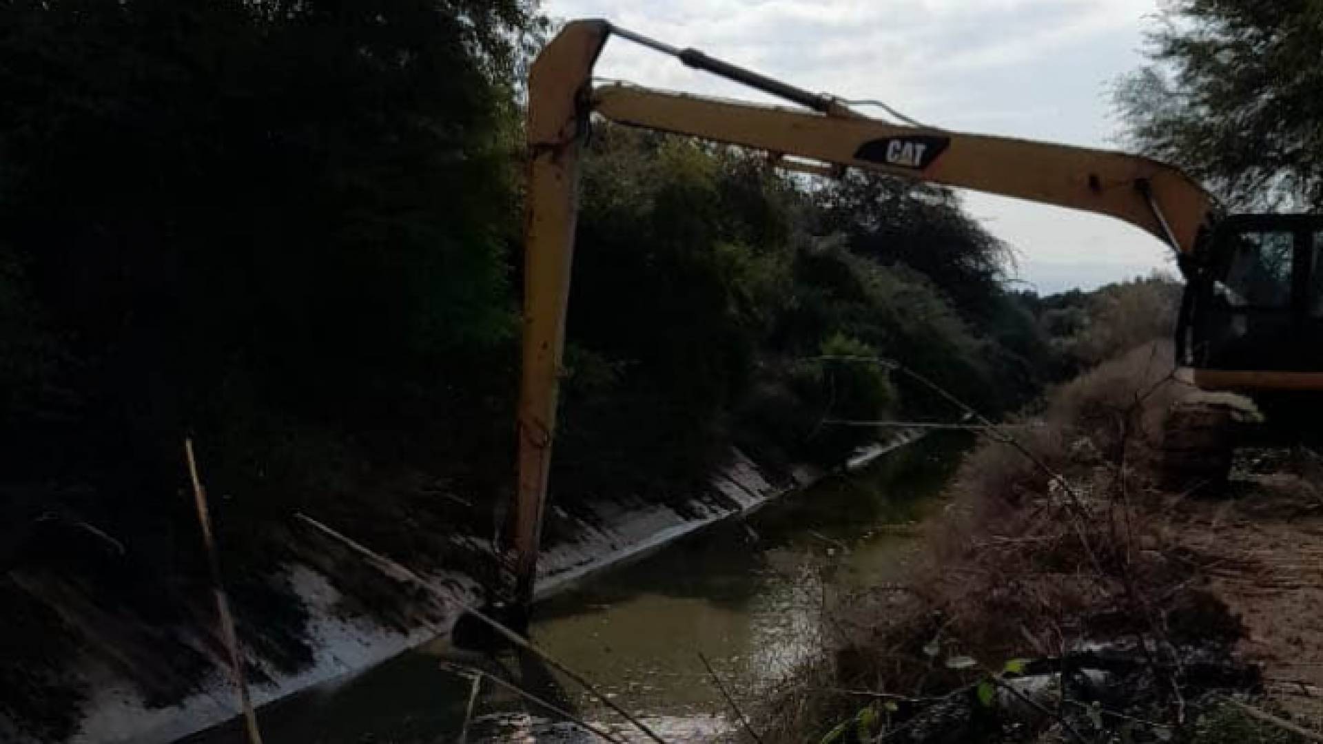 من حملة التنظيف