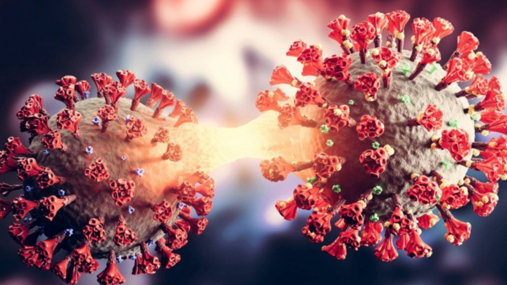 منظمة الصحة: تفشي أوميكرون قد يؤدي إلى متحورات أكثر خطورة