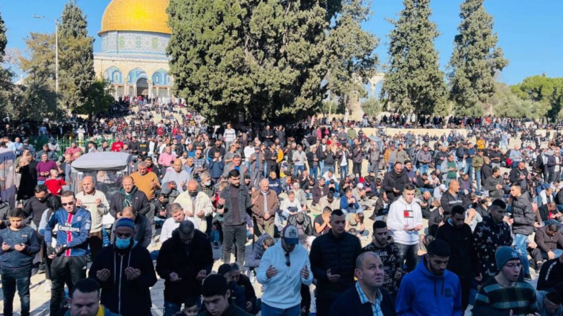 60 ألف مصل يؤدون صلاة الجمعة والغائب في الأقصى