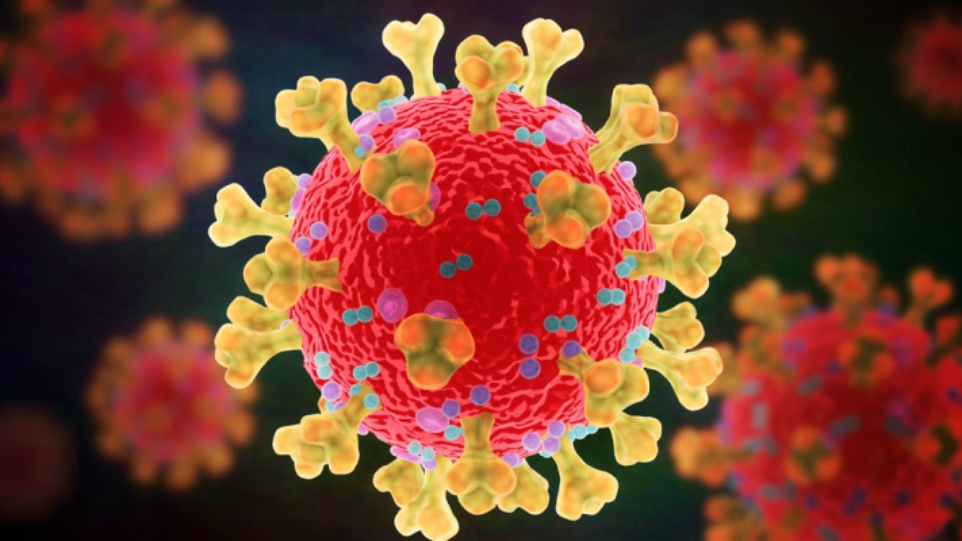 فيروس كورونا - تعبيرية