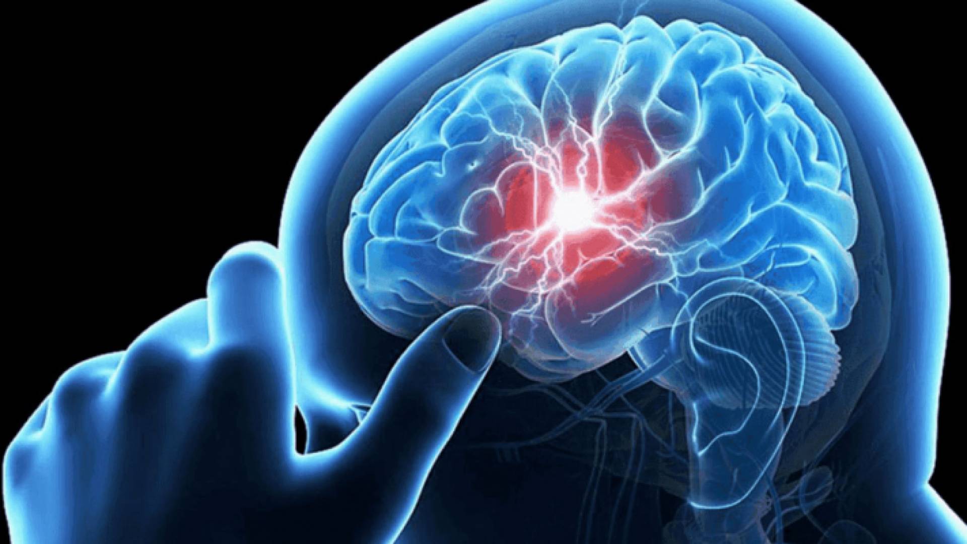 رسم توضيحي لشكل دماغ الإنسان