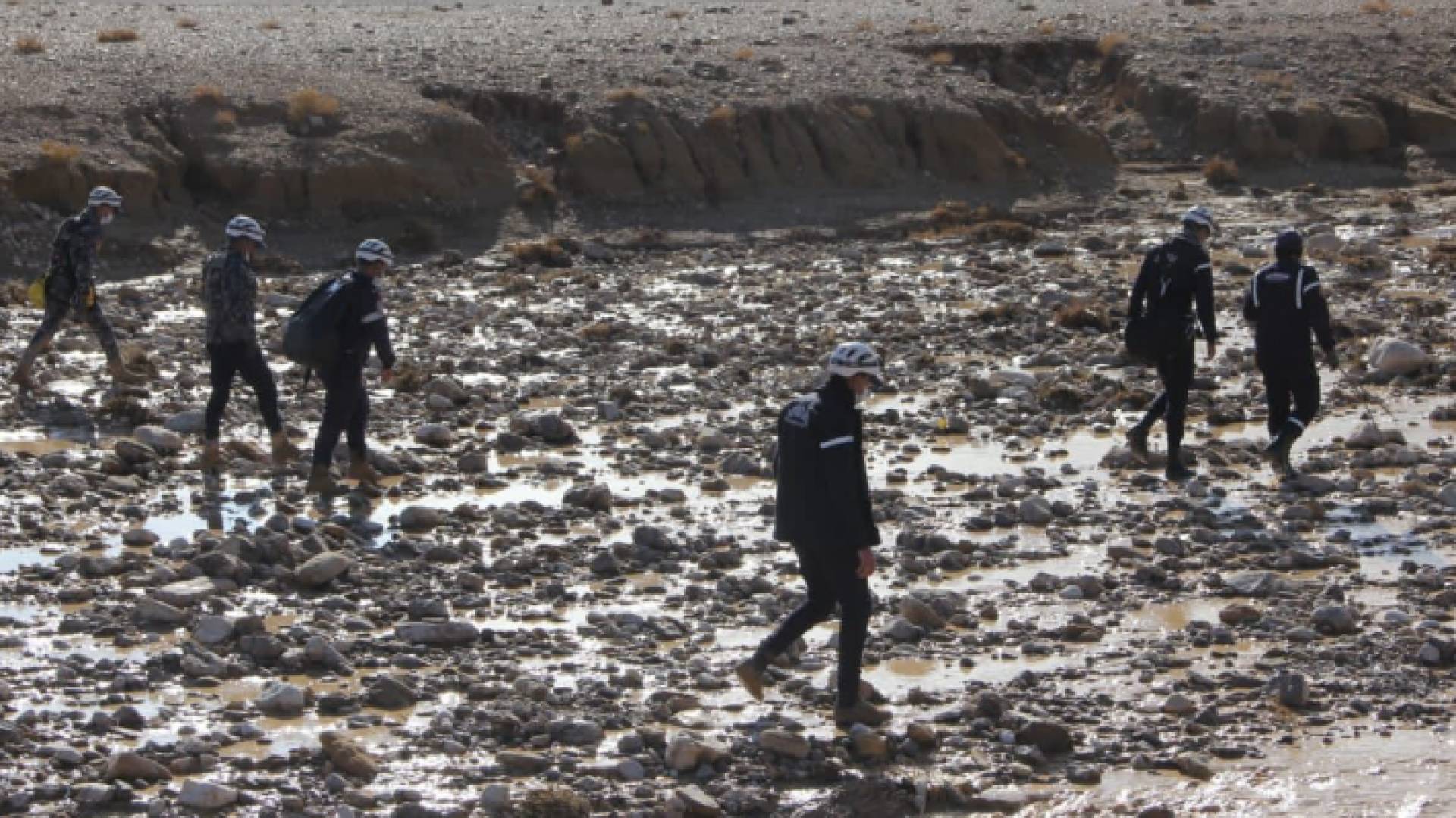 عمليات البحث