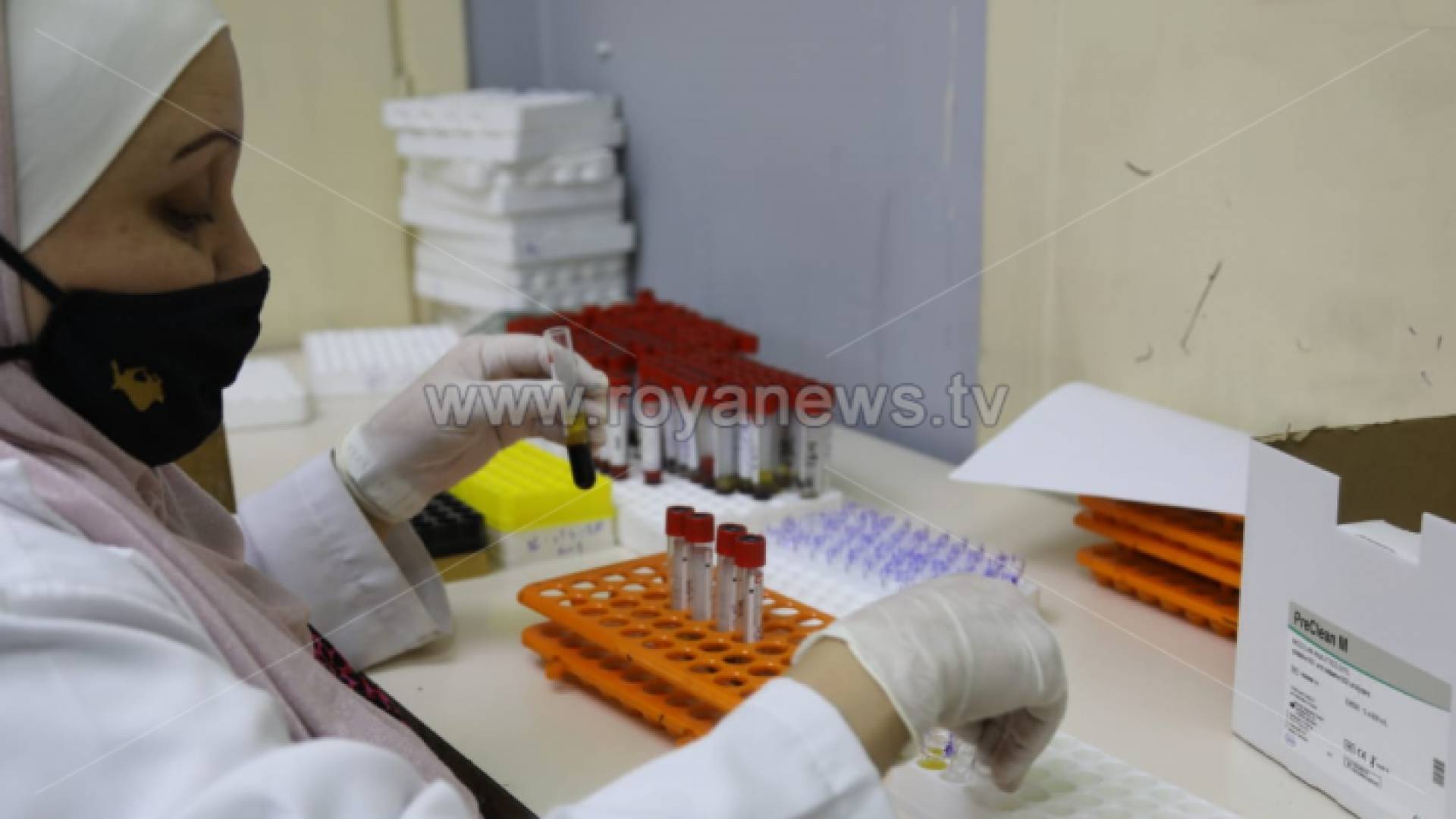 فحص كورونا - أرشيفية