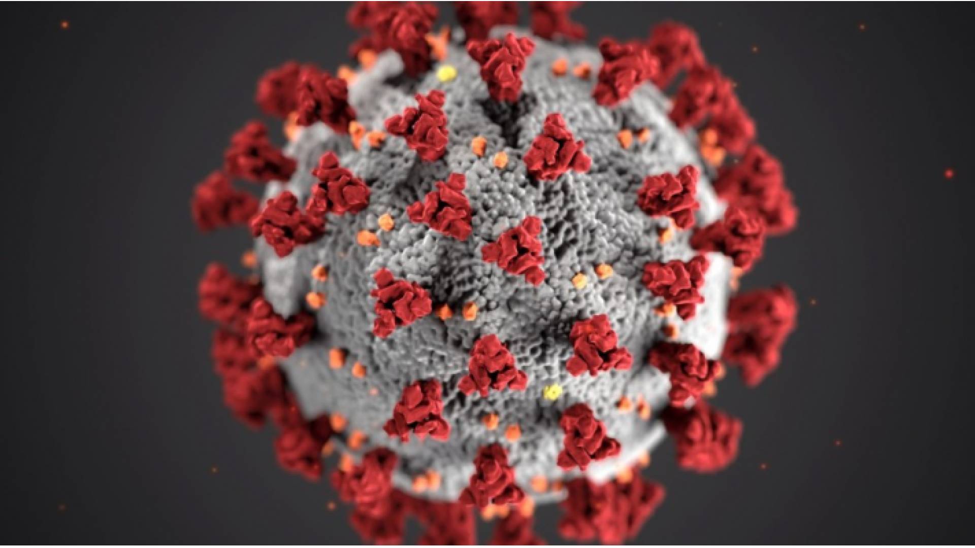 البنك الدولي: أوميكرون يمكن أن تسبب سيناريو أسوأ من تباطؤ الاقتصاد