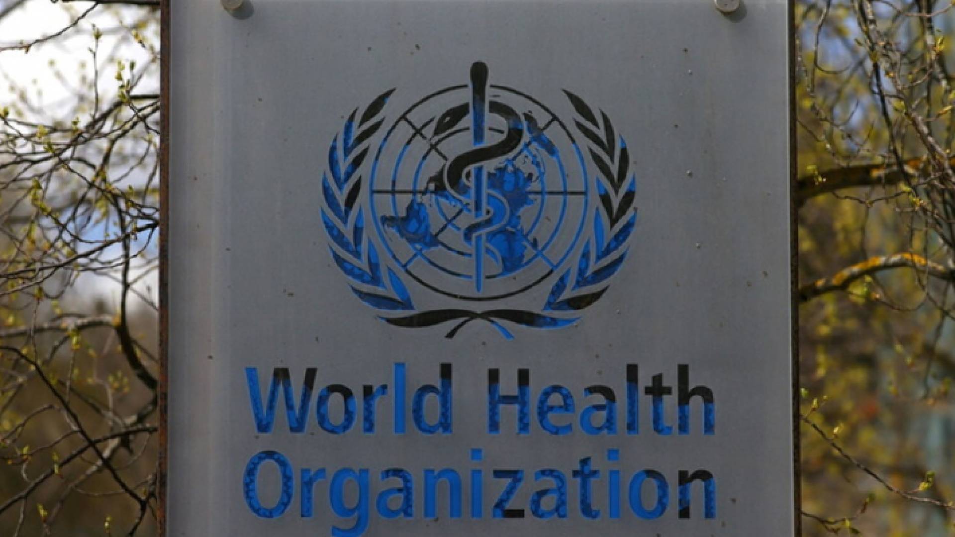 منظمة الصحة العالمية