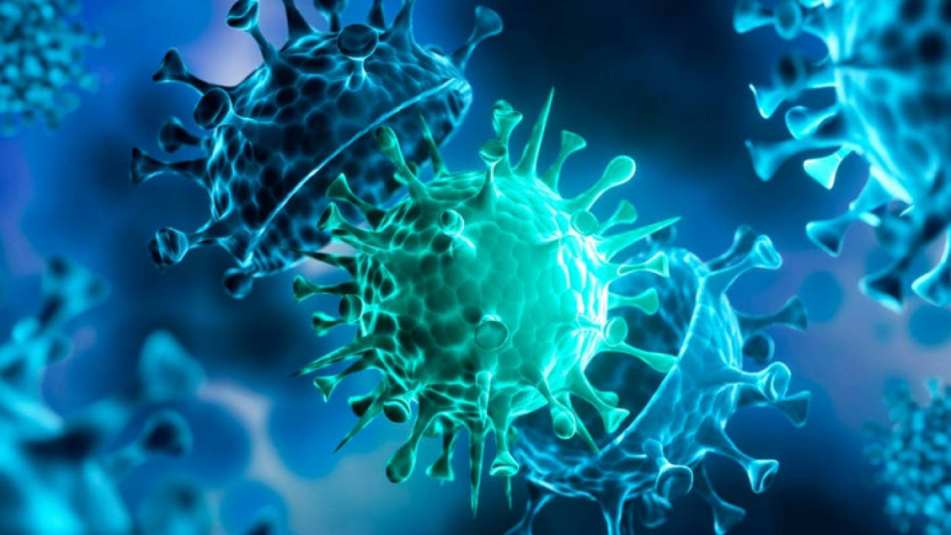 مقطع توضيحي لفيروس كورونا