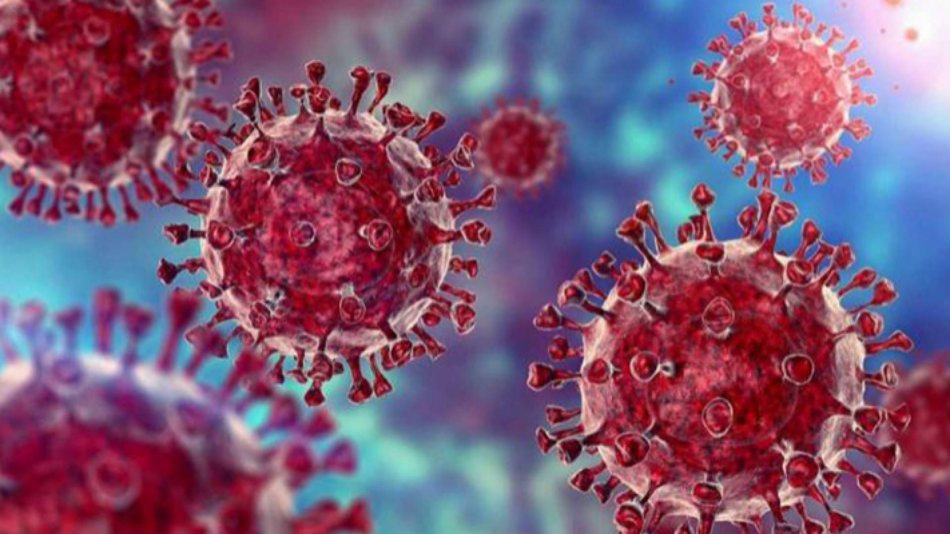 الصحة العالمية تحسم الجدل حول "دلتاكرون"