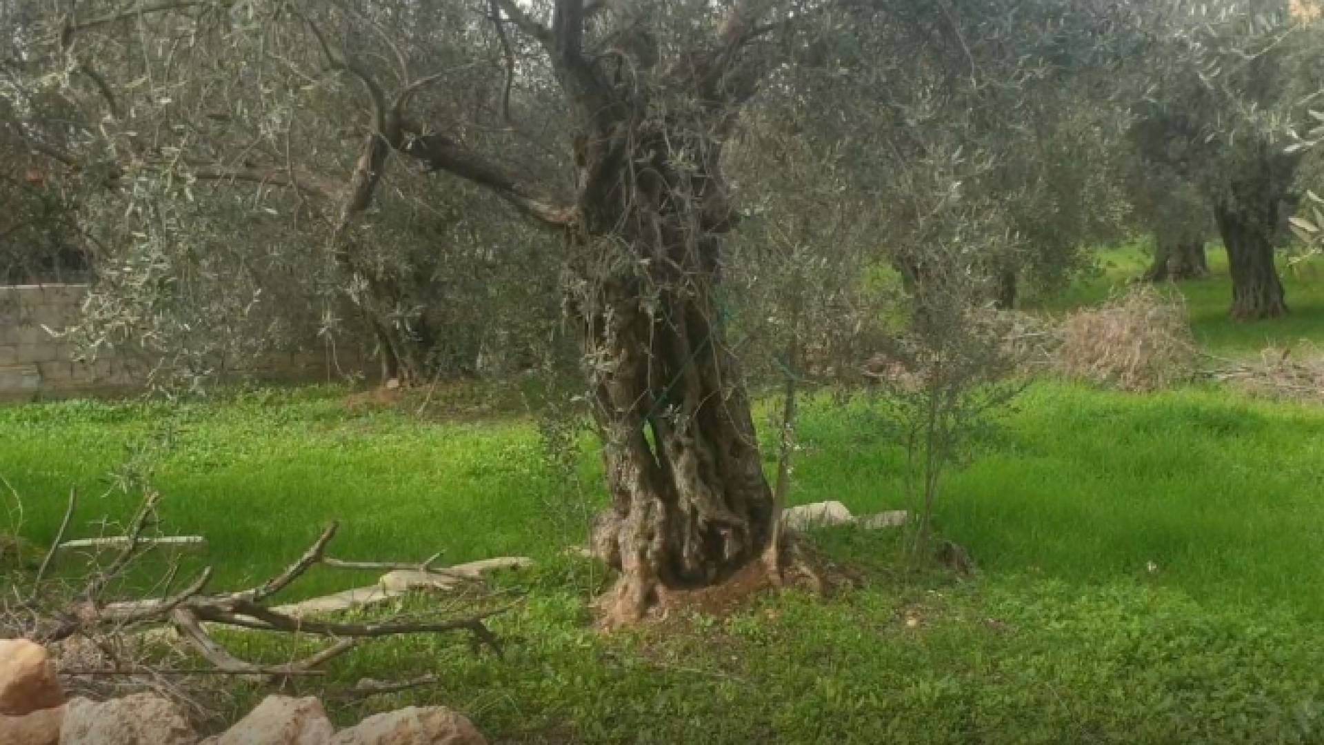 من مكان انبعاث روائح الغاز