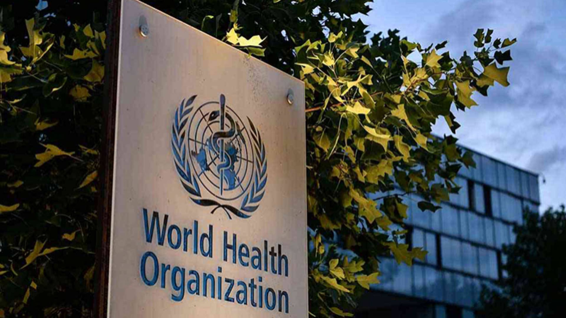 الموافقة على عقارين جديدين لتخفيف حدة أعراض كورونا