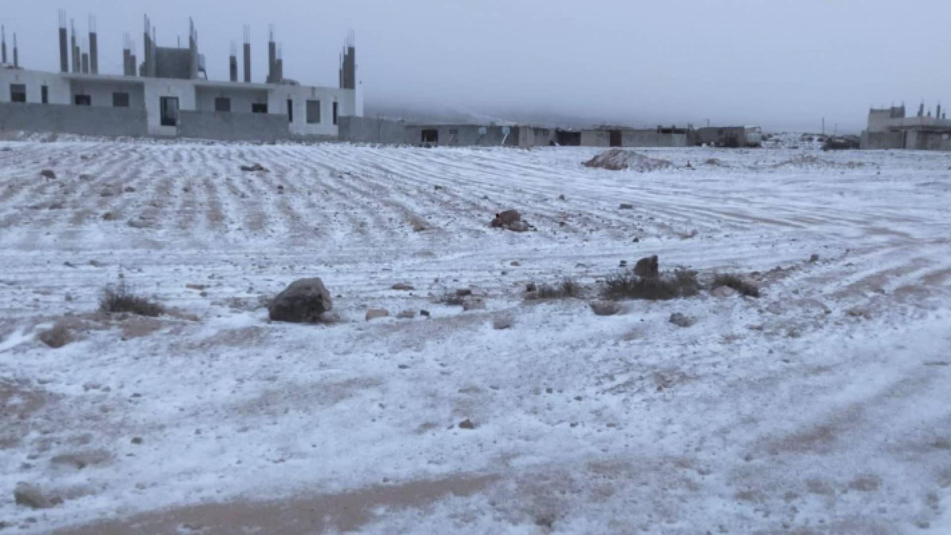 الصورة من تساقط الثلوج في وادي موسى