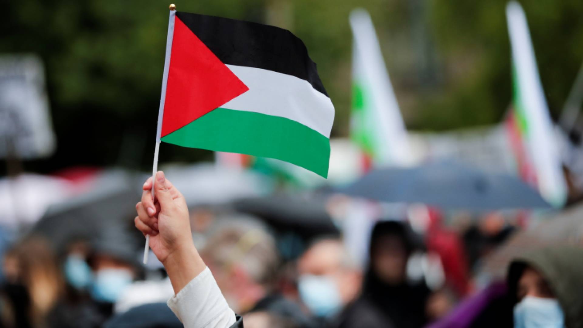 علم دولة فلسطين