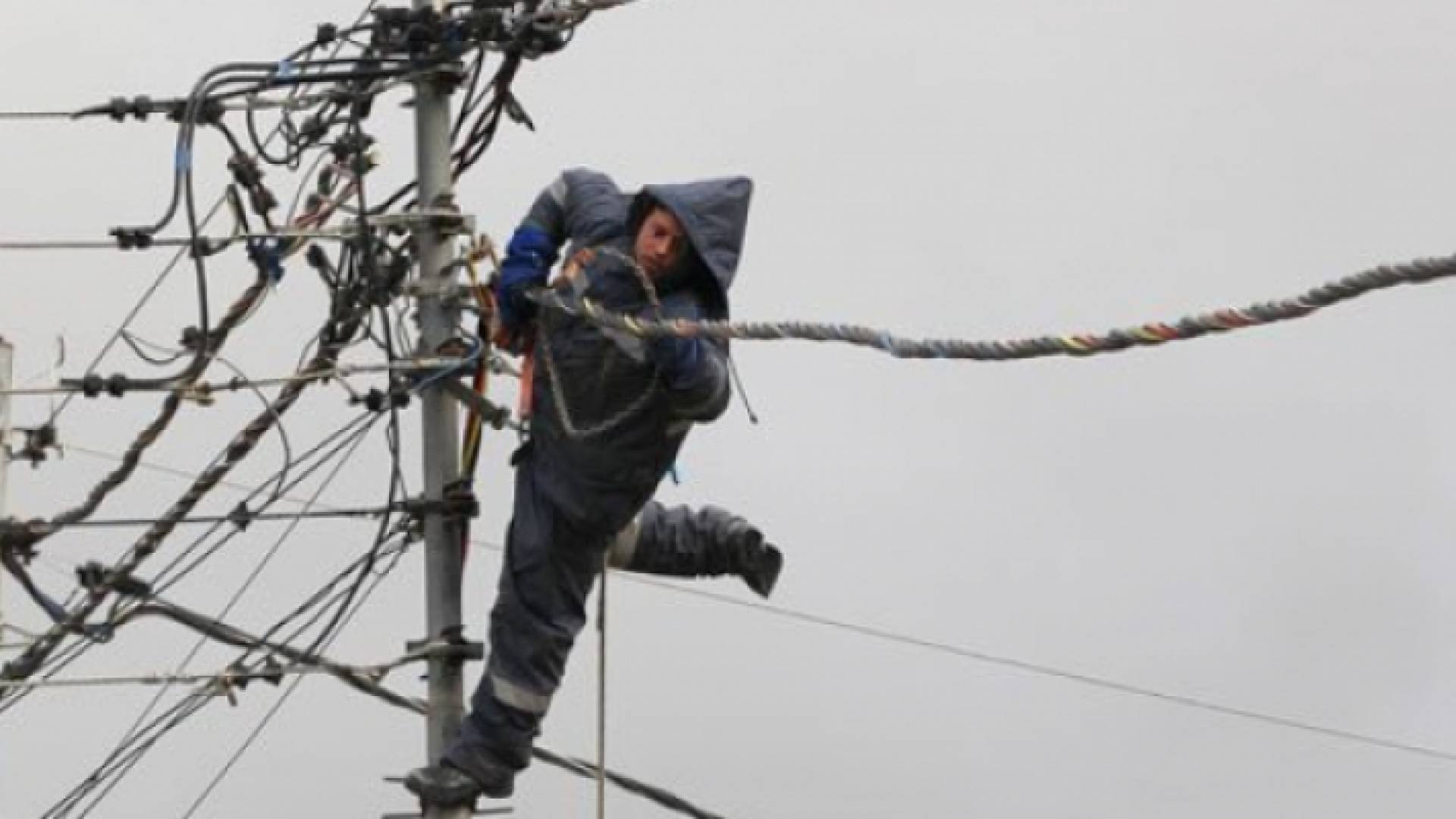 أحد موظفي شركة توزيع الكهرباء - أرشيفية