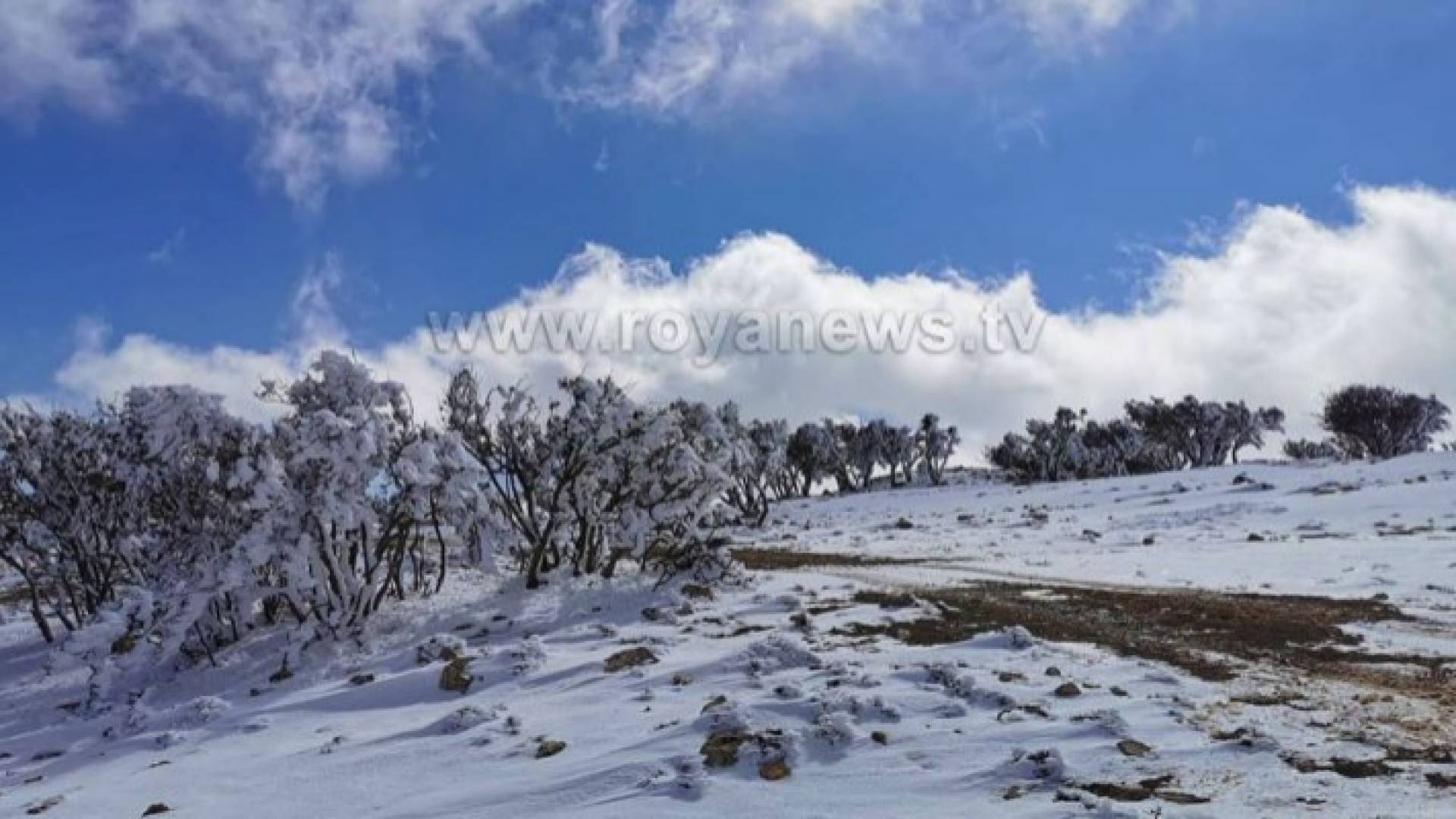 الصورة ارشيفية