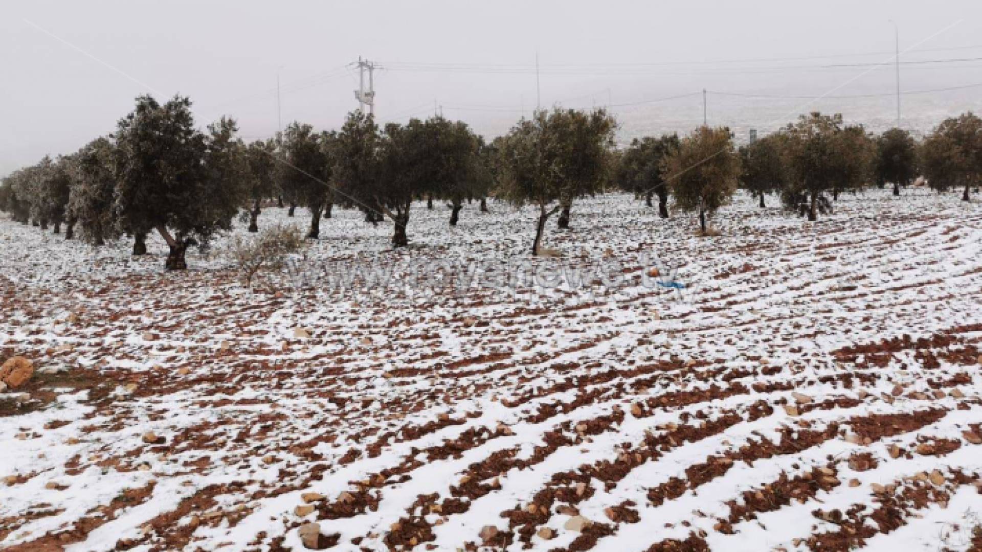 ثلوج الأردن